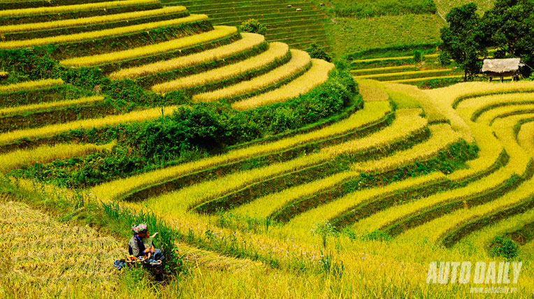 Chật k&iacute;n du kh&aacute;ch tại Lễ hội Ruộng bậc thang